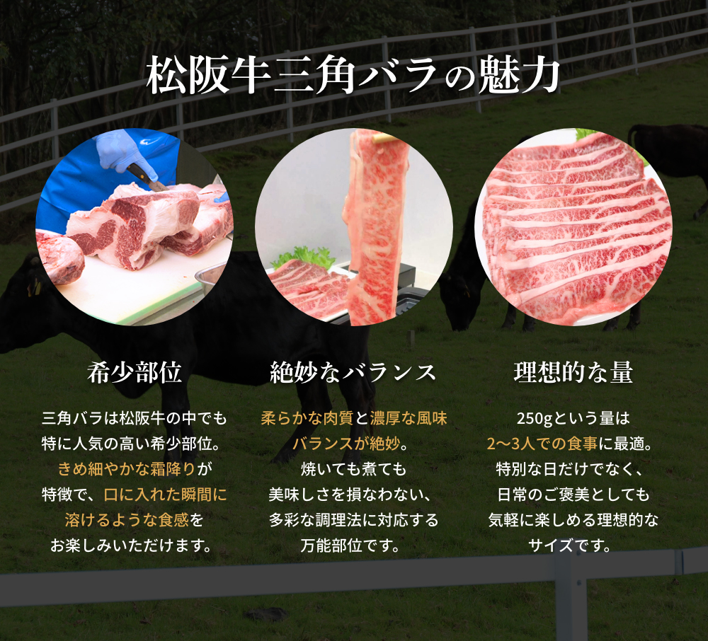 松阪牛三角バラの魅力